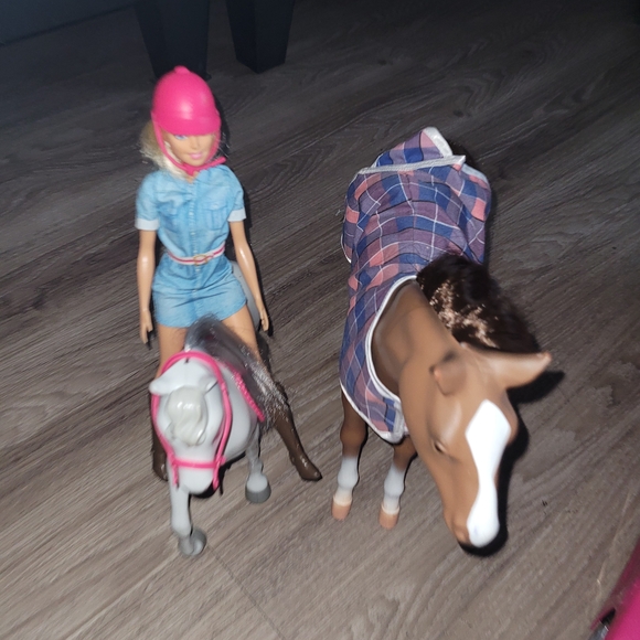 Fashion Barbie Doll with Horse Set - Blue and Pink - Picture 2 of 5
